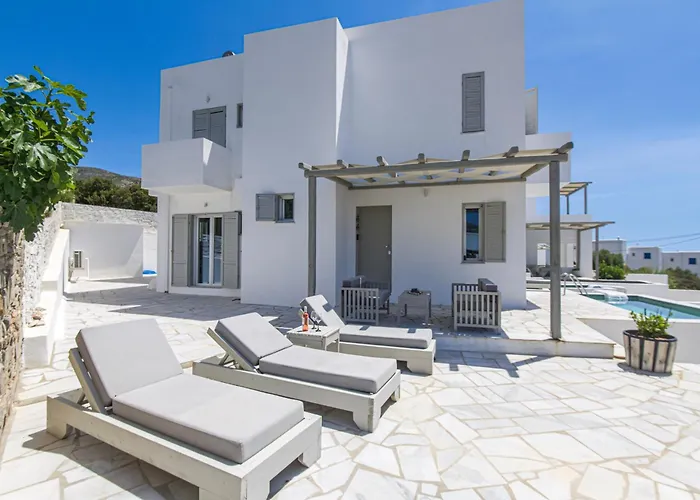 White Paros Villa *